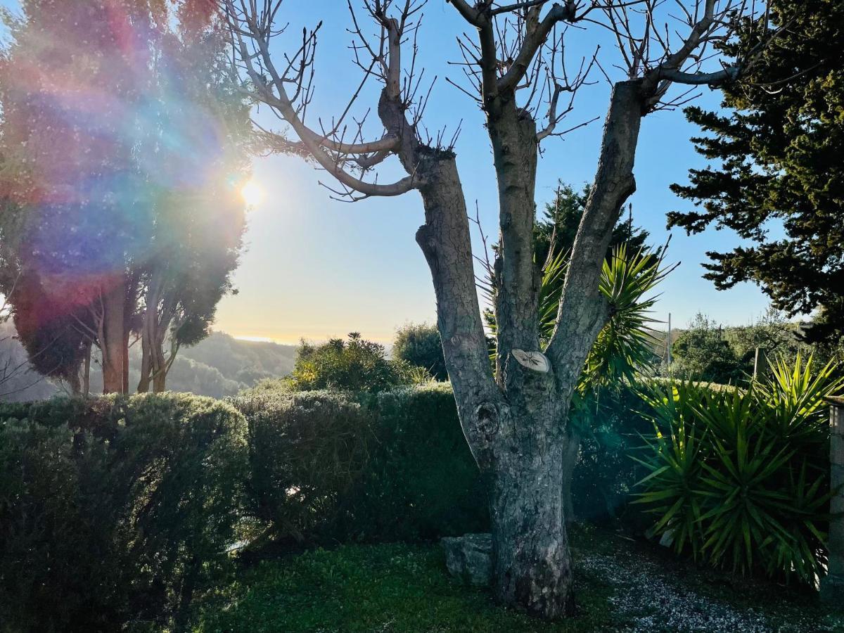 Casetta Luna E Sole Montescudaio Exteriör bild